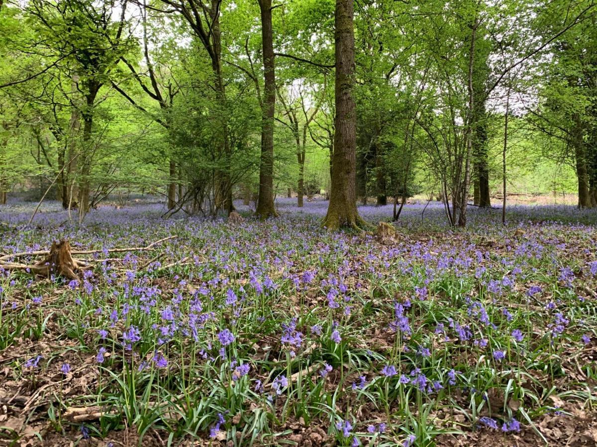 Pumping Station Holidays Cinderford ภายนอก รูปภาพ